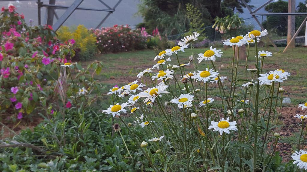 Thuring'S Holiday Bungalow Nuwara Eliya Ngoại thất bức ảnh