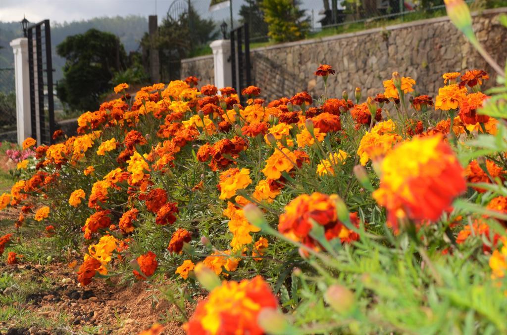 Thuring'S Holiday Bungalow Nuwara Eliya Ngoại thất bức ảnh